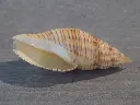 DSCN1297.webp