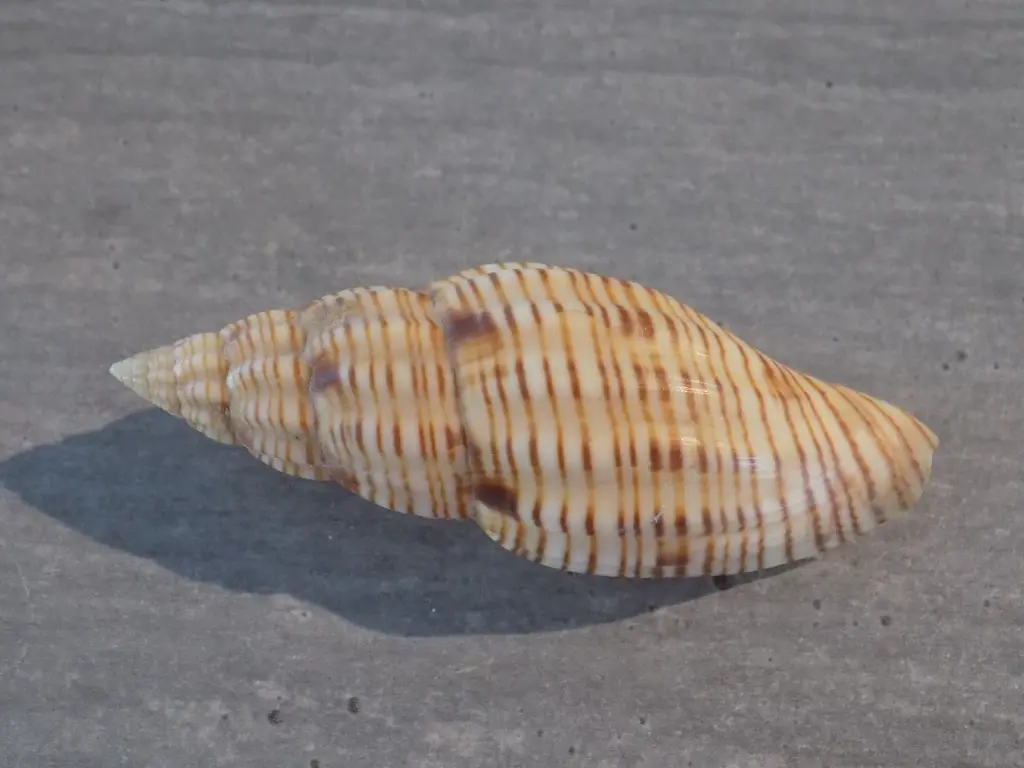 DSCN1298.webp
