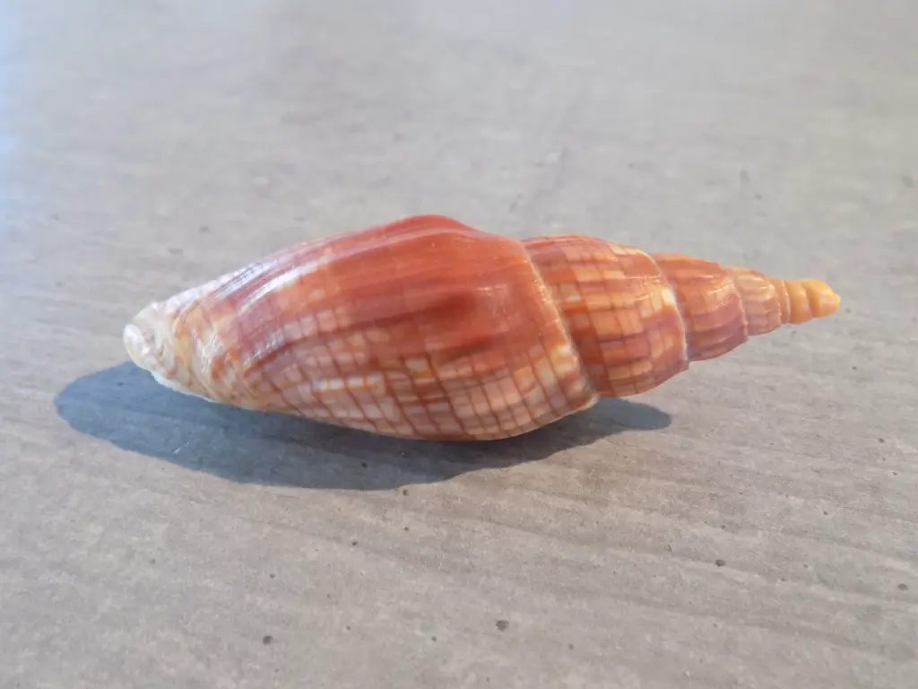 DSCN1300.webp