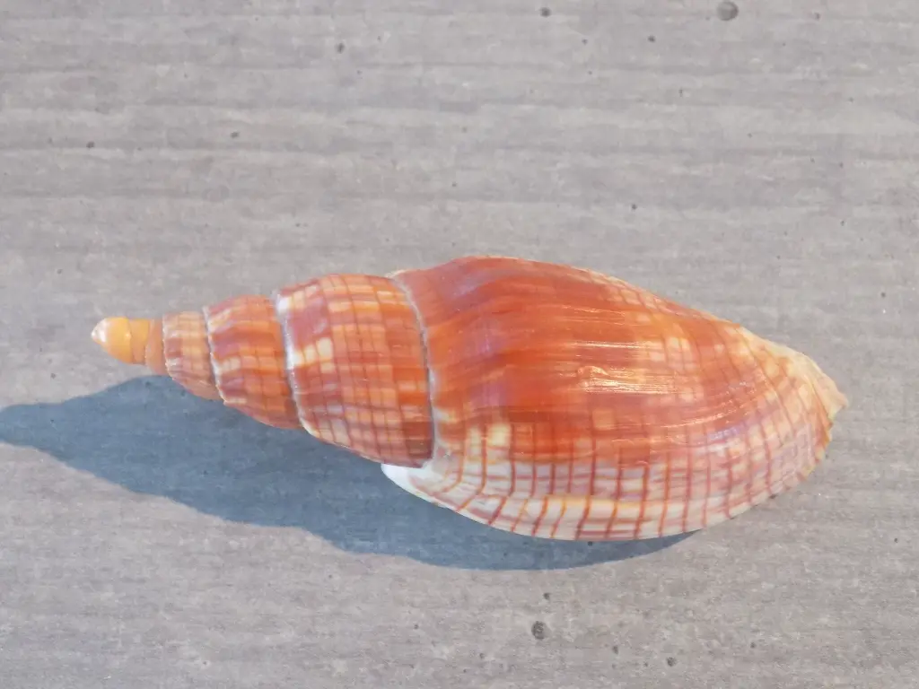 DSCN1304.webp