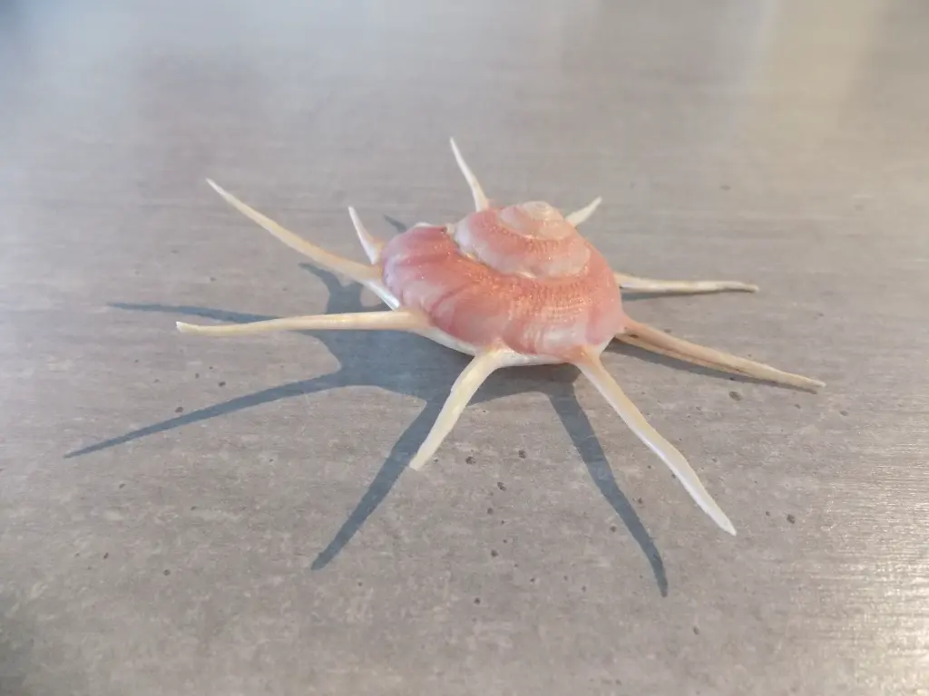 DSCN1276.webp