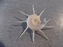 DSCN1277.webp
