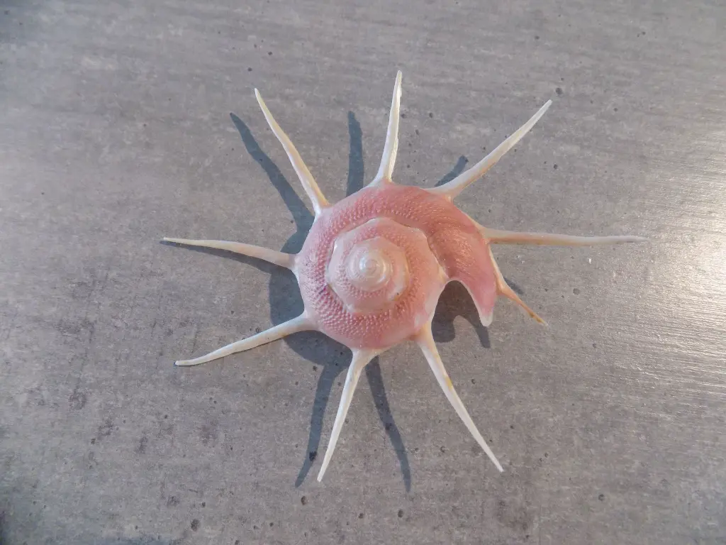 DSCN1278.webp