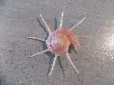 DSCN1278.webp
