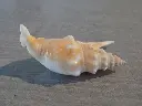 DSCN1281.webp