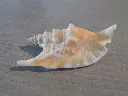 DSCN1282.webp