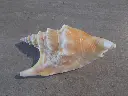 DSCN1283.webp