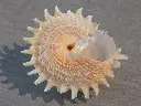 DSCN1267.webp