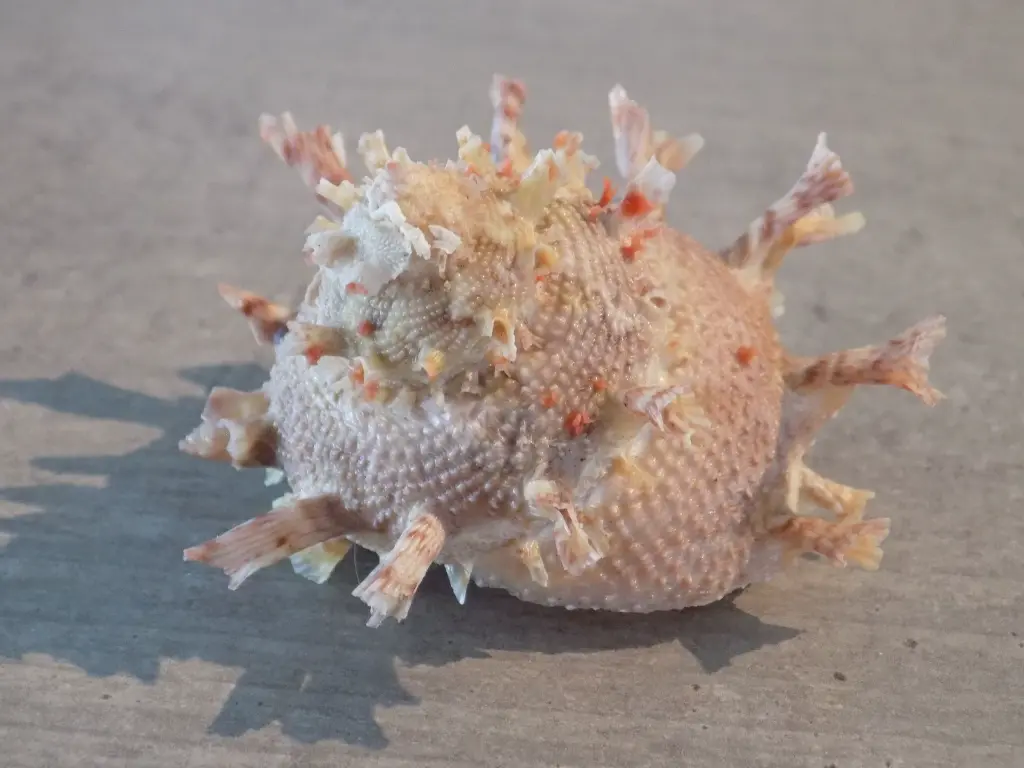 DSCN1270.webp