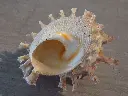 DSCN1272.webp