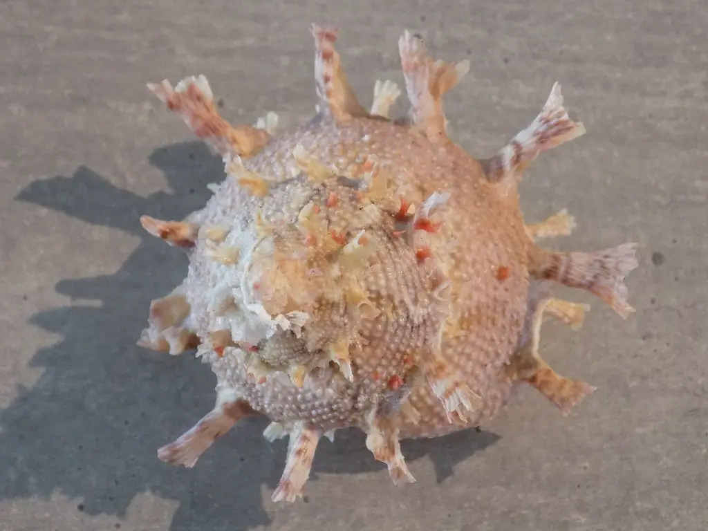 DSCN1274.webp