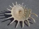 DSCN1327.webp