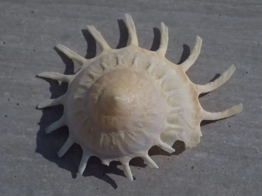 DSCN1328.webp