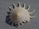 DSCN1328.webp