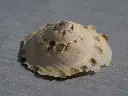 DSCN1317.webp