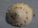 DSCN1319.webp