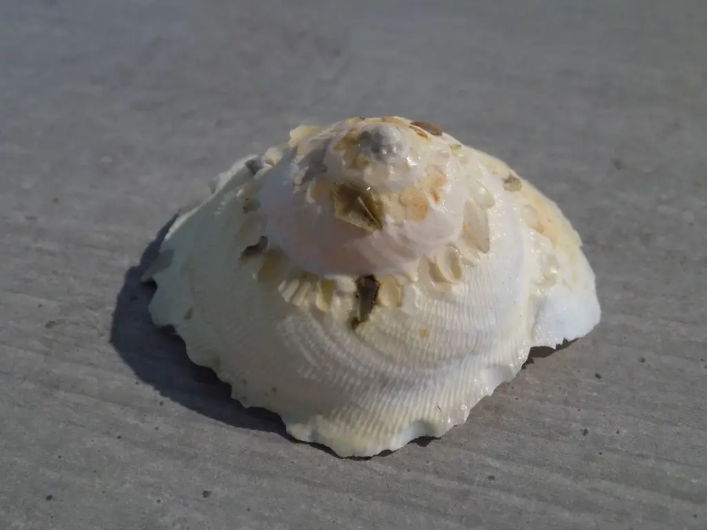 DSCN1321.webp