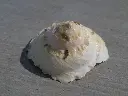 DSCN1321.webp