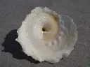 DSCN1322.webp