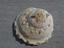 DSCN1323.webp