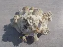 DSCN1335.webp