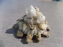 DSCN1337.webp