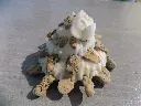 DSCN1338.webp
