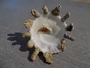 DSCN1339.webp