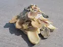 DSCN1344.webp