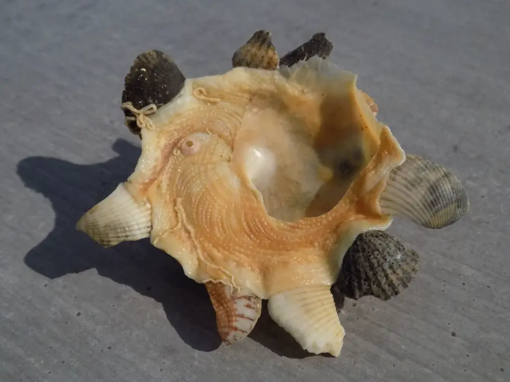 DSCN1345.webp