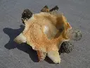 DSCN1345.webp