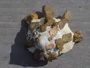 DSCN1351.webp