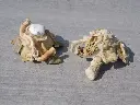 DSCN1353.webp