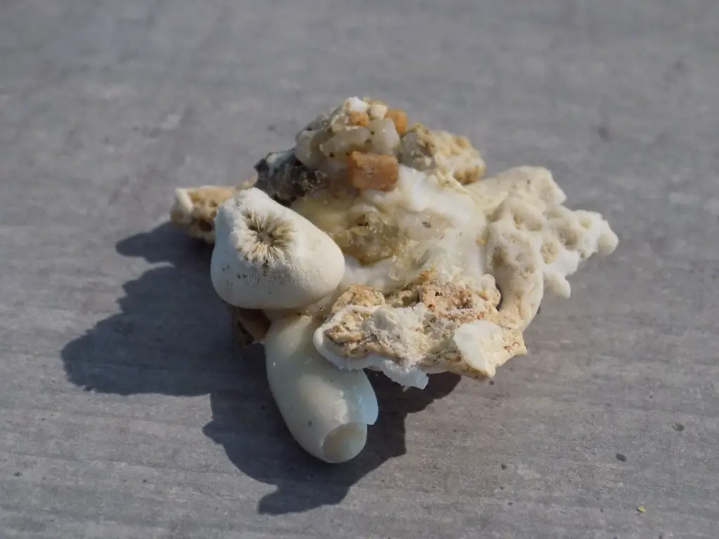 DSCN1359.webp