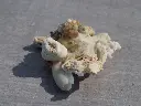 DSCN1359.webp