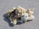 DSCN1360.webp