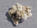 DSCN1362.webp