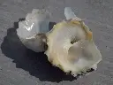 DSCN1366.webp