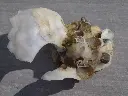 DSCN1367.webp