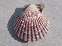 DSCN1369.webp