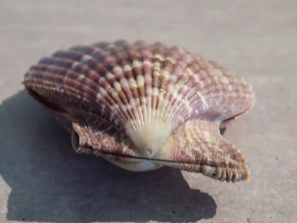DSCN1370.webp