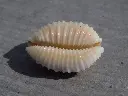 DSCN1373.webp