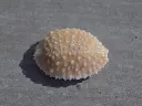 DSCN1374.webp