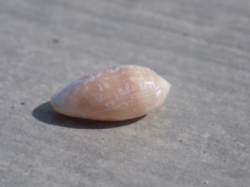DSCN1376.webp