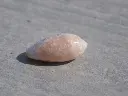 DSCN1376.webp