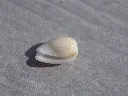 DSCN1382.webp