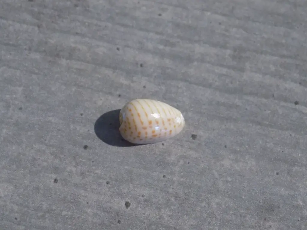 DSCN1384.webp
