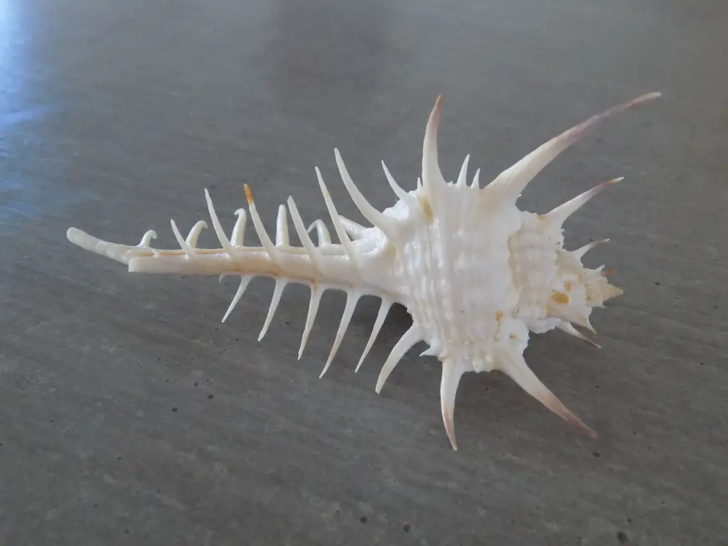 DSCN1387.webp
