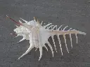DSCN1389.webp