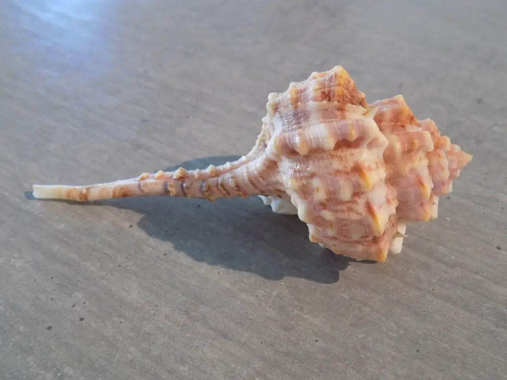DSCN1397.webp